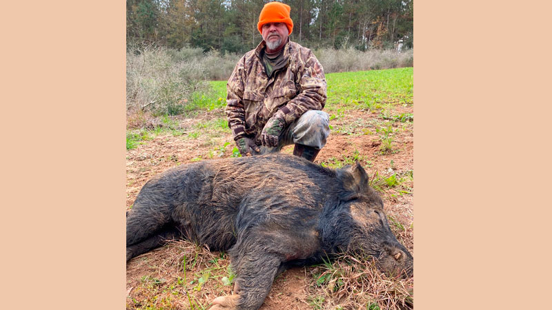Washington Parish boar