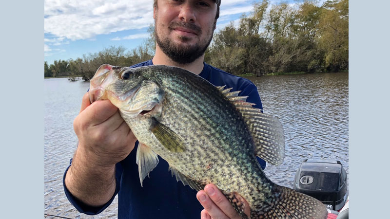 Mike's best Louisiana sac-a-lait
