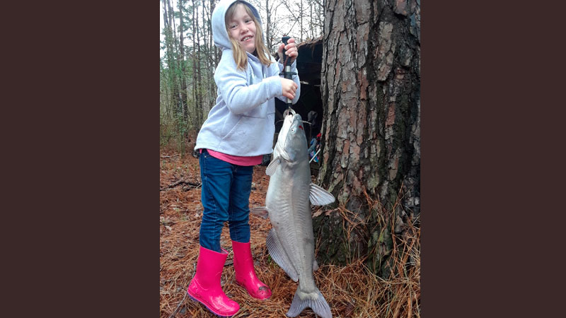 Catchin' Cats