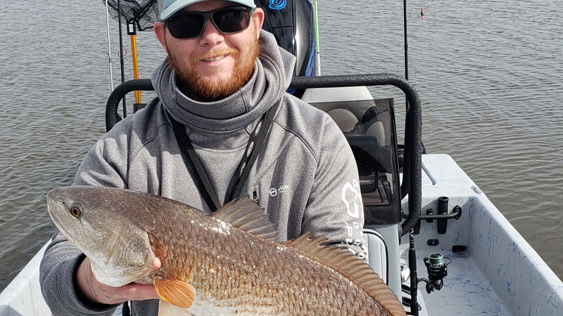 Beautiful Golden Meadow redfish