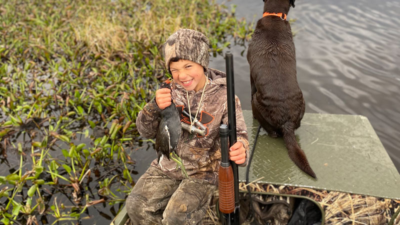 Hudson's first gallinule