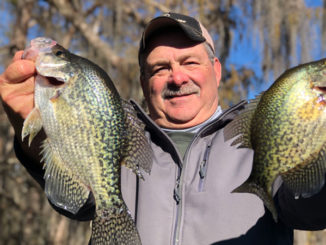 Crappie will start moving to the mouth of canals and small bayous when the water temperature gets to 60 degrees and stays there. (Photos by Keith Lusher Jr.)