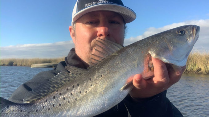 Reggie Legendre catches big trout like this off the bank and in his small eight-foot Pelican boat this time of year all along Hwy. 1.