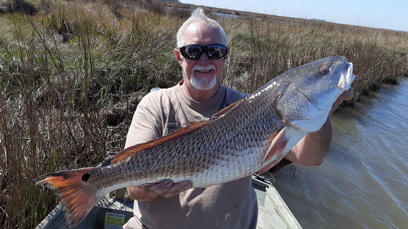 John's marsh redfish
