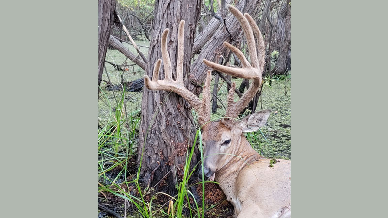 Hunting club record for Robert