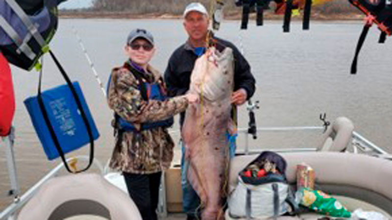 Strother family's big blue cat