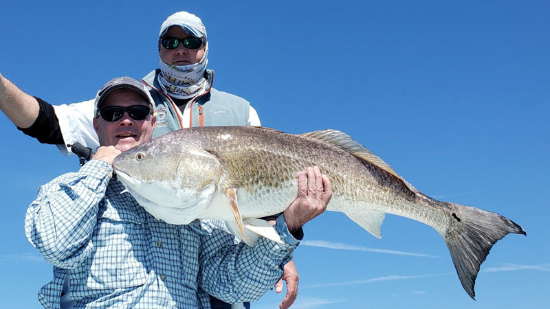 Big reds on fly