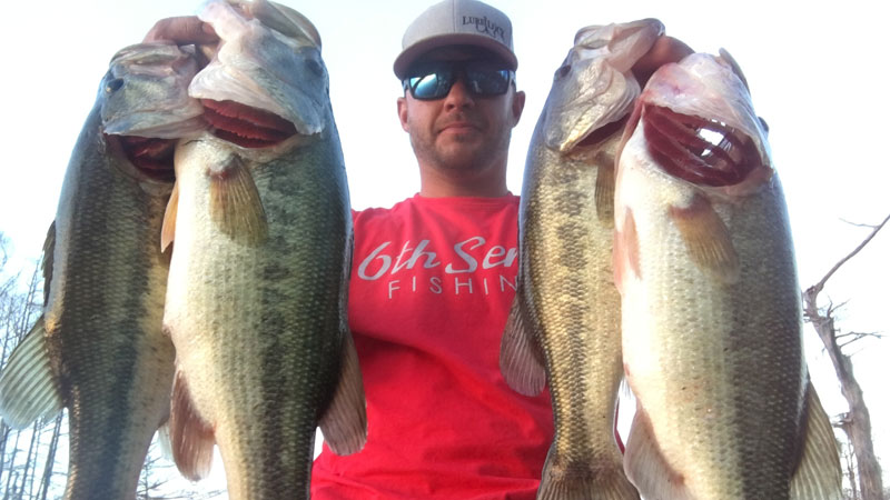 Bag of spawning bass