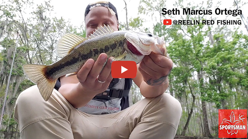 Kayak Bass Fishing with Top Water Lures