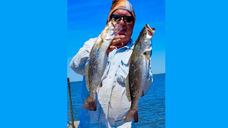 Two spring Delacroix trout