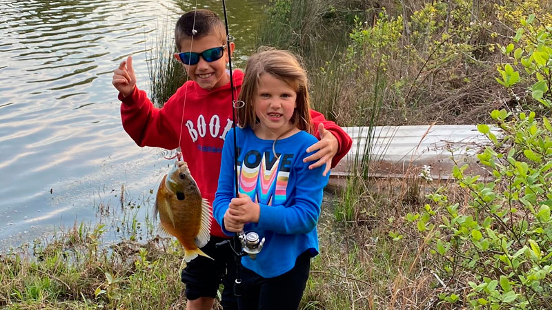 Pond fishing for bream