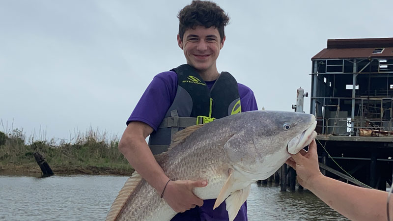Kaden's Big Lake bull red
