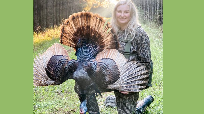 Victoria's bronze phase turkey