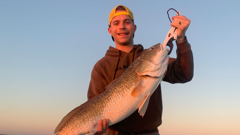 Tristan's big bull red