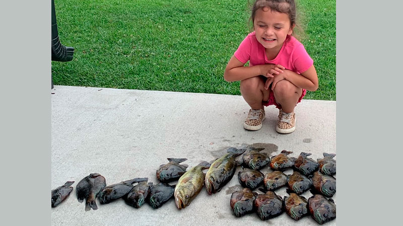 Bayou Black bounty