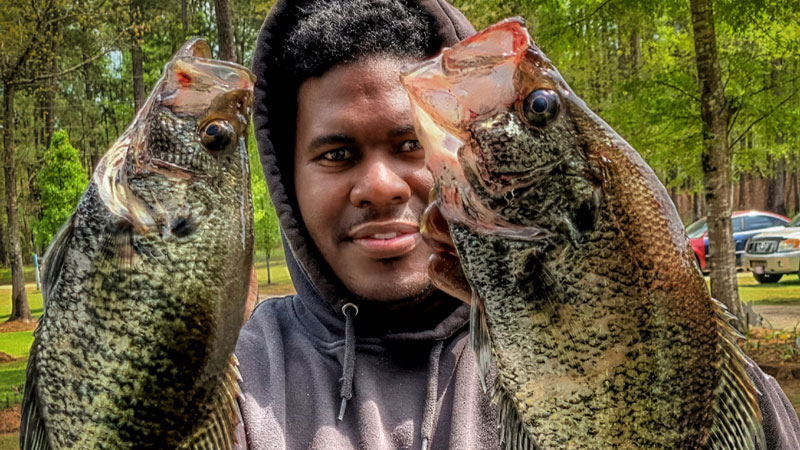 Double slab crappie