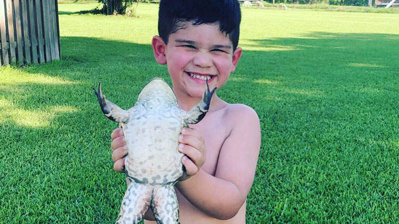 Jackson Baldridge's big frog hunt