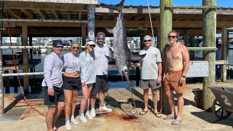 swordfish