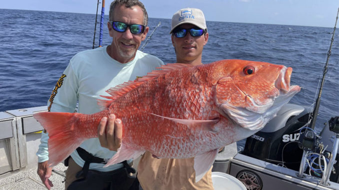 snapper