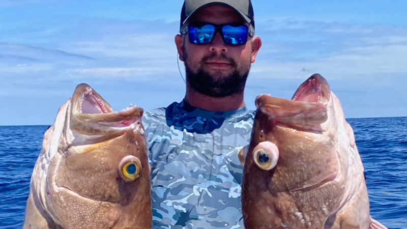 Yellowedge Grouper