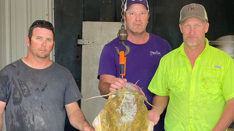 Sabine River catfish