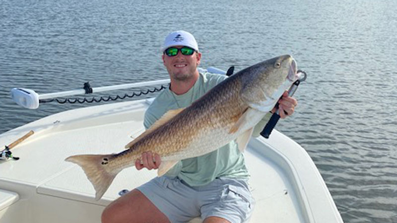 Brady's bull red