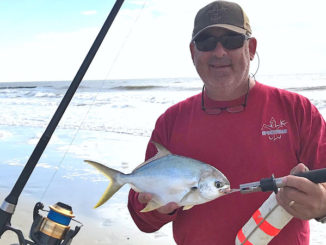 Florida pompano are a surf fisherman’s dream fish: aggressive, hungry and a good test on light tackle. Just don’t cast too far. (Photo by Brian Cope)