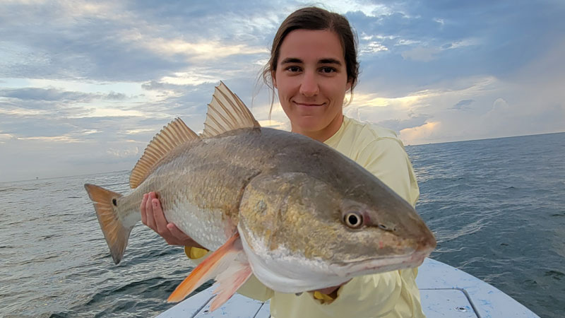 Megan's bull red