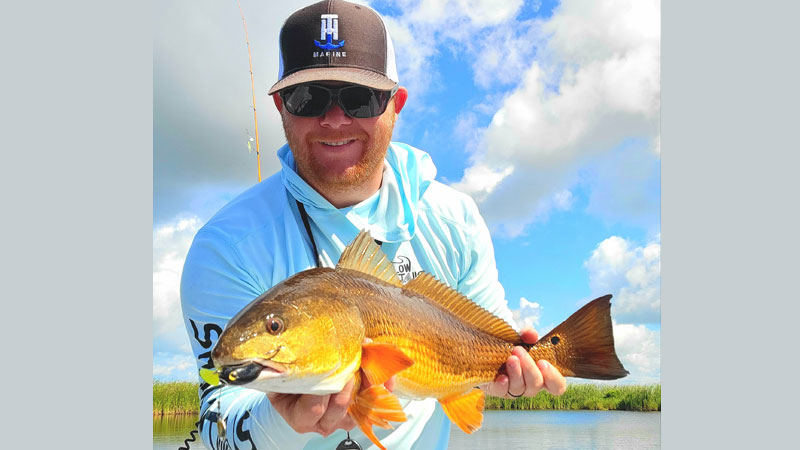 Cut Off redfish