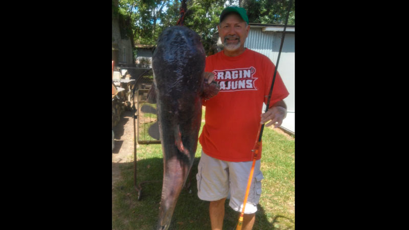 Big catfish from the Atchafalaya River