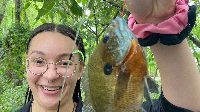 First Lake Henderson bluegill