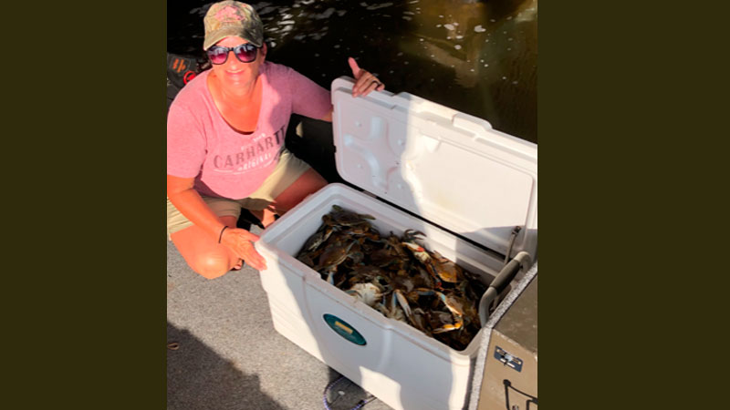 Pointe Aux Chene crabs