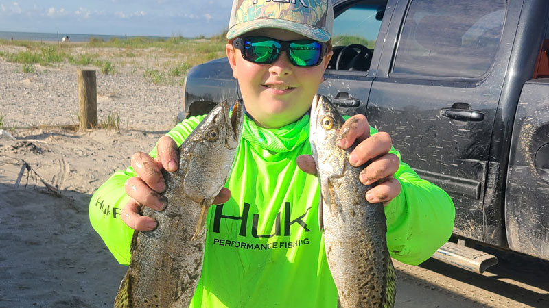 Traffic trout