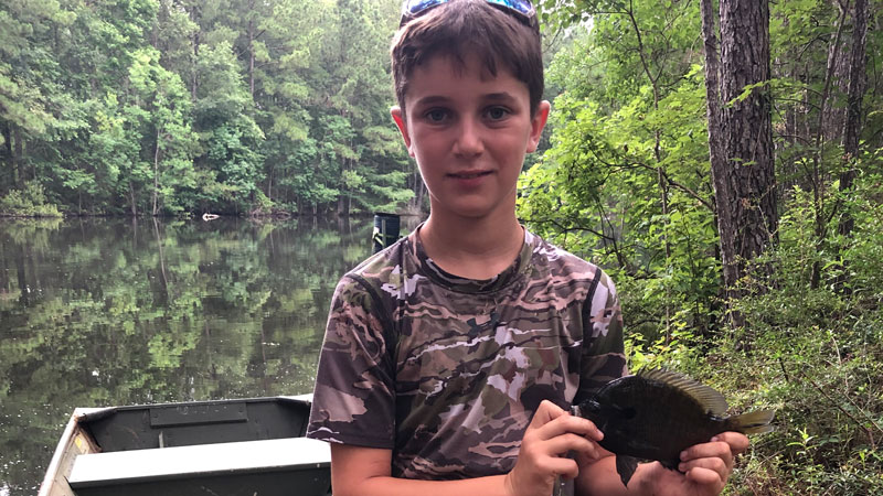 Gavin's pond bream