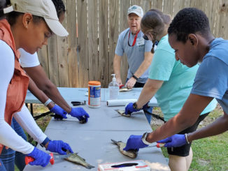 An Aquatic Volunteer Instructor teaches attendees how to clean fish. (Photo courtesy LDWF)