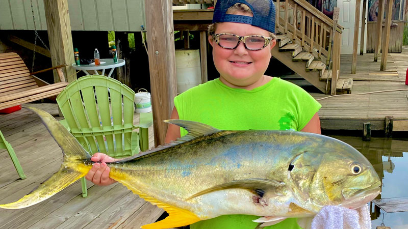 DJ's jack crevalle