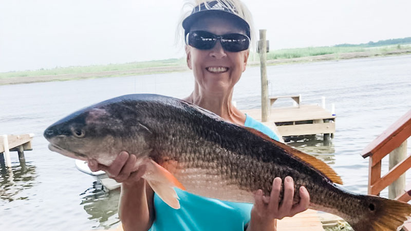 Cary's redfish