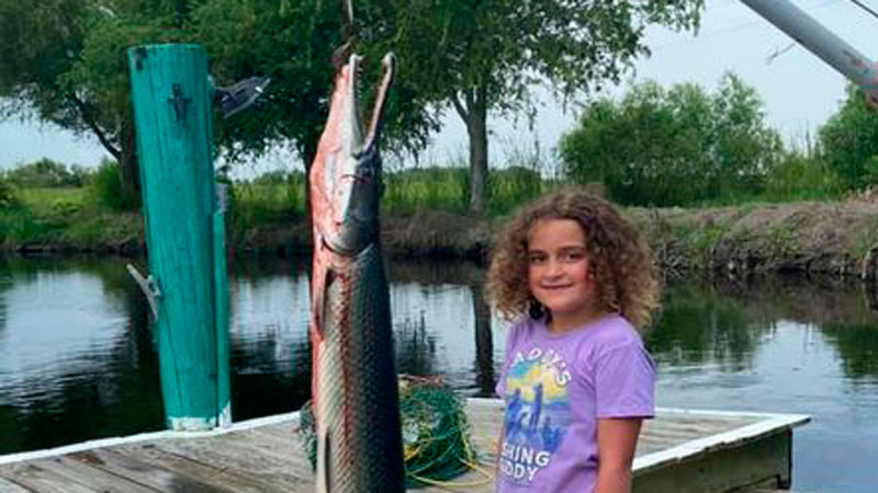 Olivia's gar