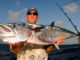 Big king mackerel are often referred to as “smokers” for their ability to “smoke” line off a reel.