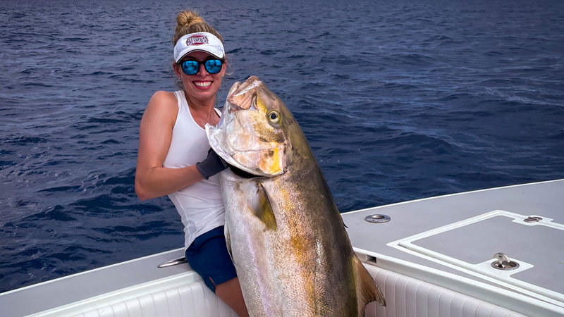 Birthday amberjack