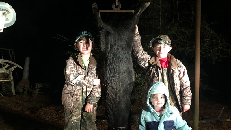 Family hog hunt