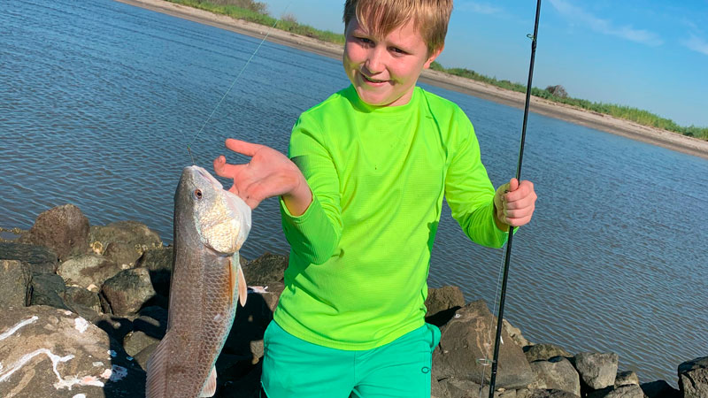 Kohen's redfish