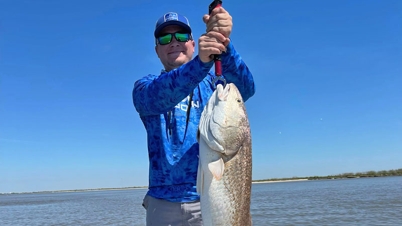 Cameron Parish bull red