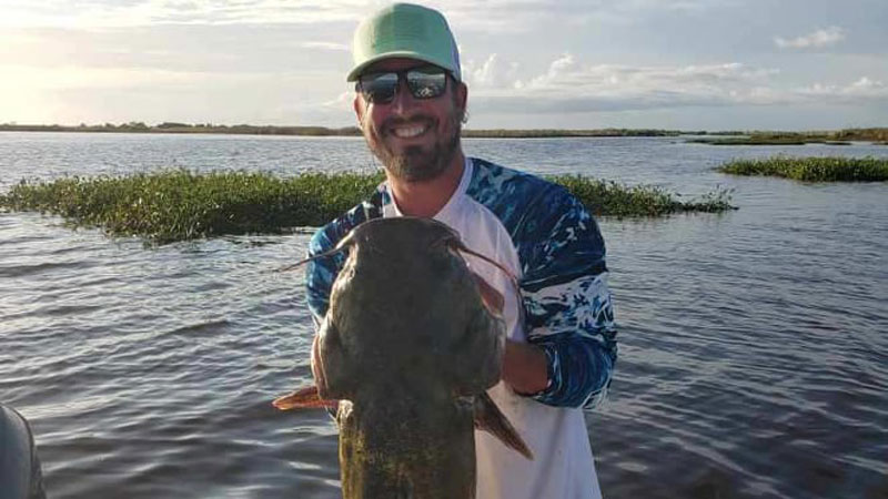 Creole Bayou catfish