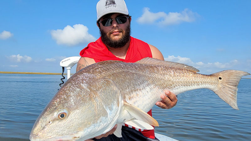 Teddy's Leeville bull red
