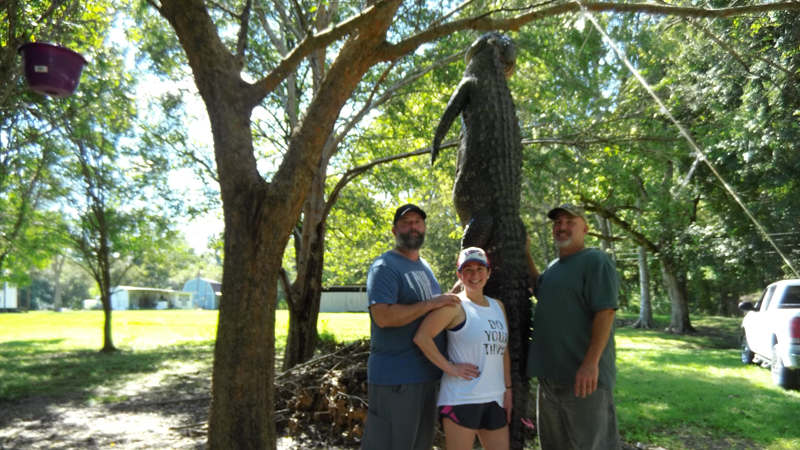 Melanie's 11-foot gator