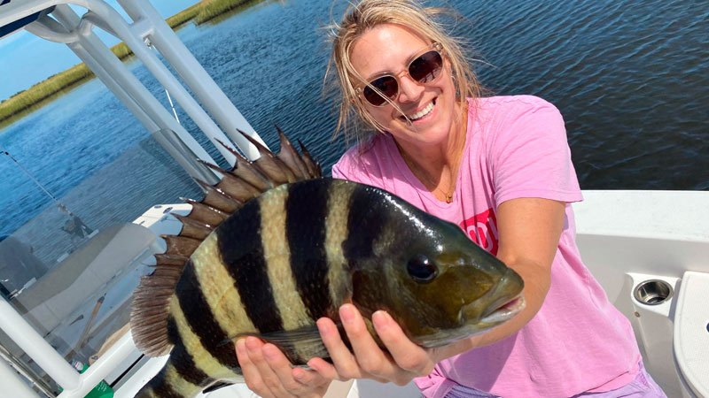 Susan's sheepshead