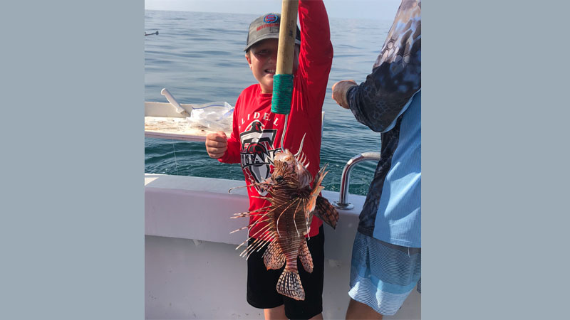 Brock's lionfish
