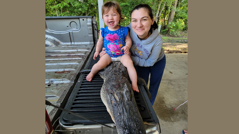 Sherburne WMA gator