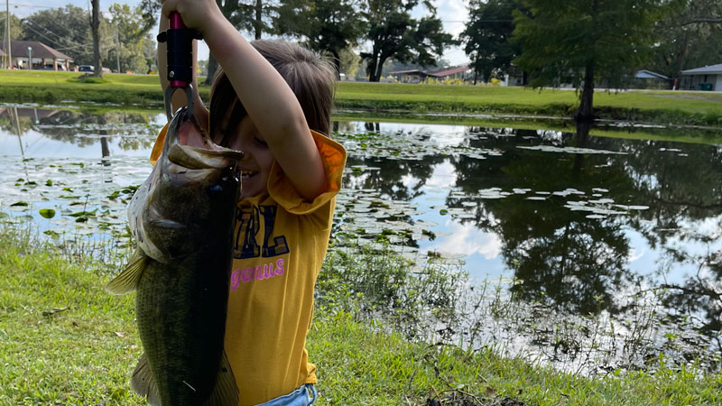 New Iberia pond fishing